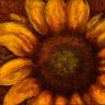 La Fleur, Tournesol